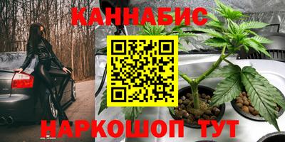 стаф Гусев