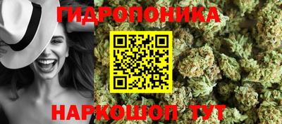 стаф Гусев