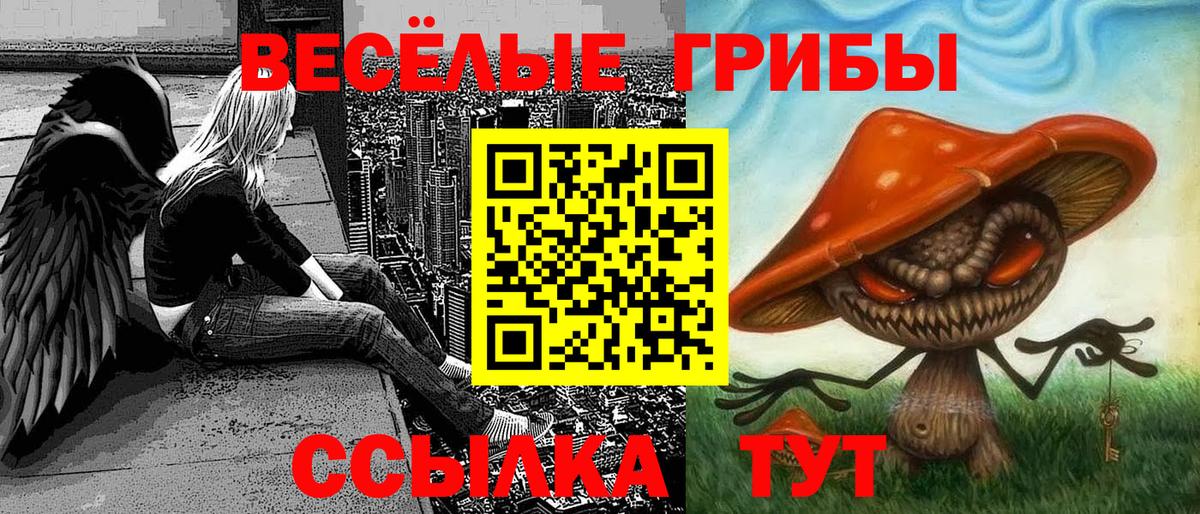 Галлюциногенные грибы мухоморы Медногорск