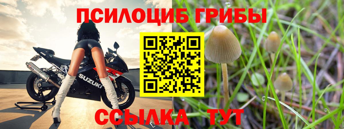 Медногорск  Псилоцибиновые грибы мицелий  Вход с VPN 